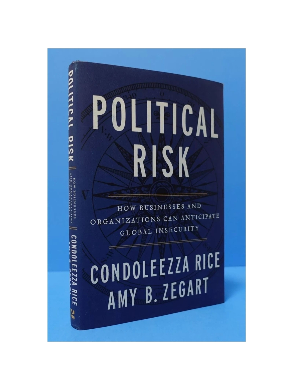 Political Risk: How Businesses & Orgs Anticipate Insecurity